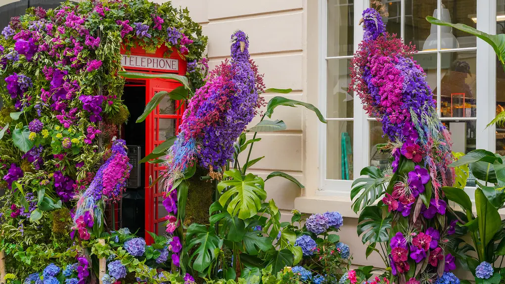 Colourful peacocks made of flowers 