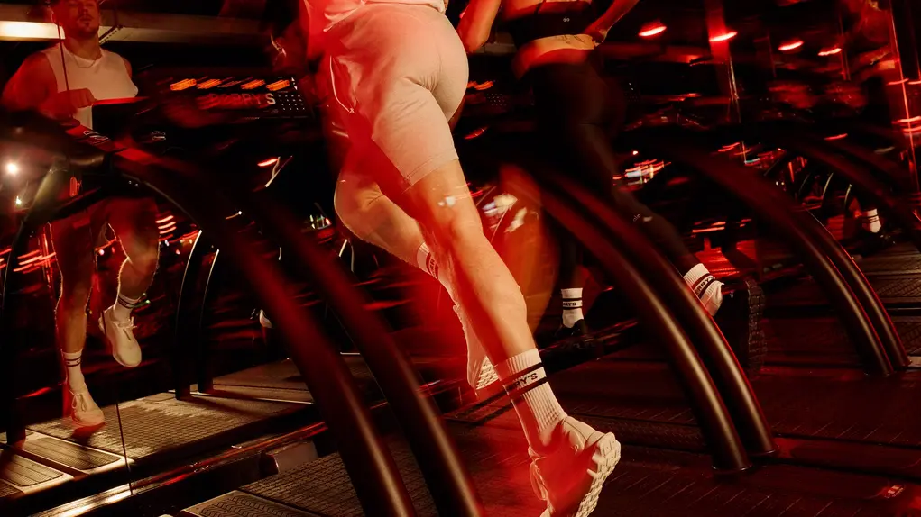 legs