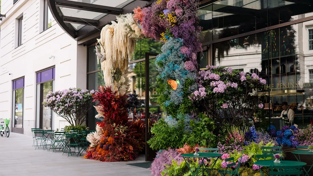The Hari's floral display for Belgravia in Bloom