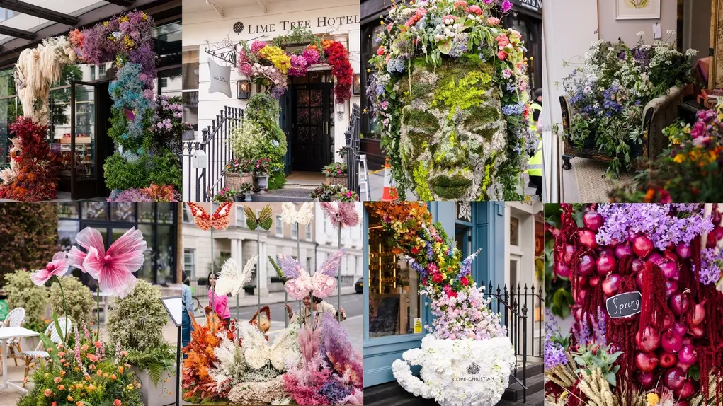 Collage of eight images of Belgravia in Bloom