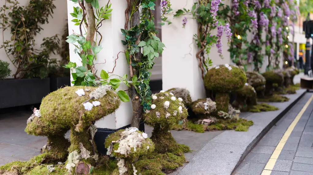 flower display
