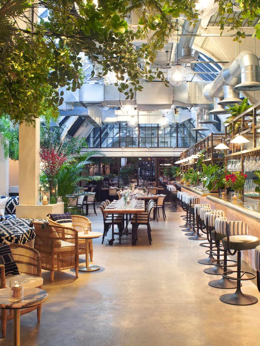 Wild by Tart in Belgravia London
