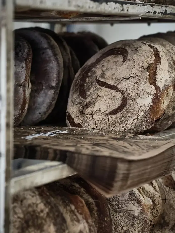 Bread