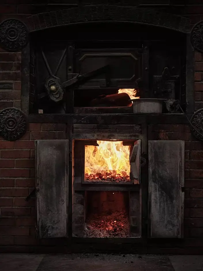 Wood fire oven
