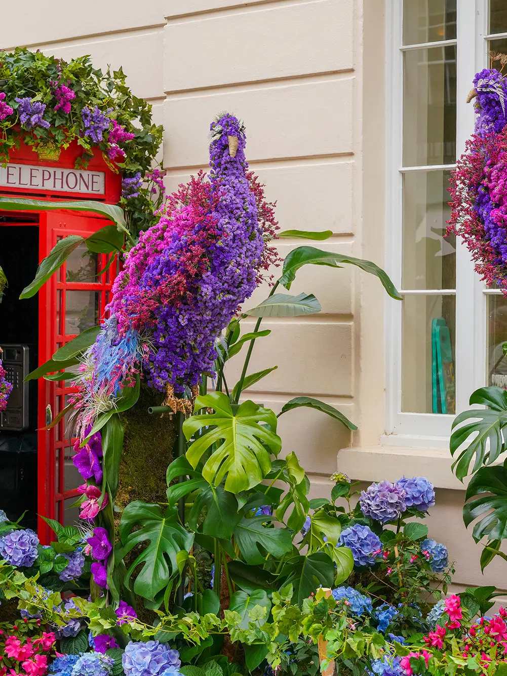 Colourful peacocks made of flowers 