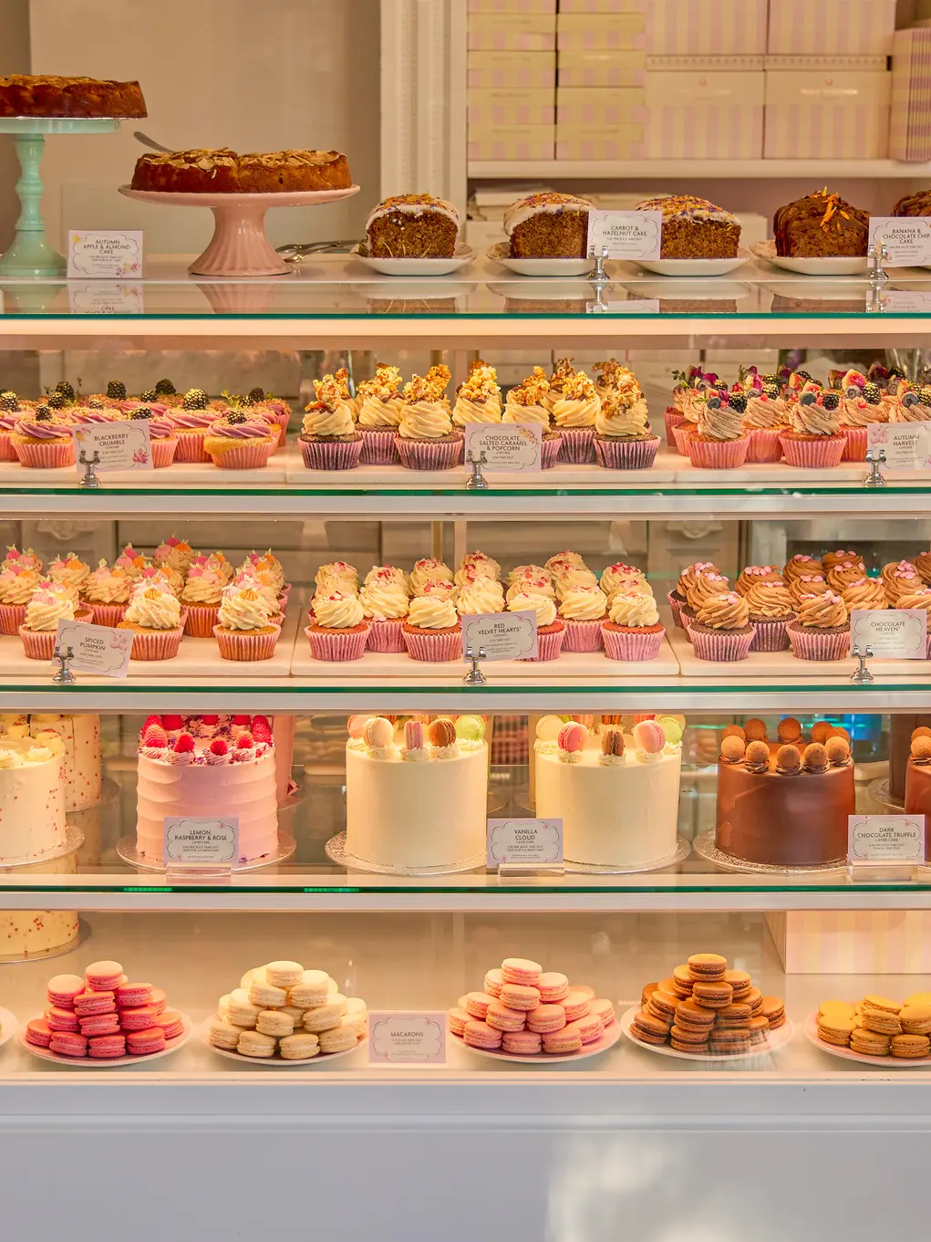 A fridge filled with cakes