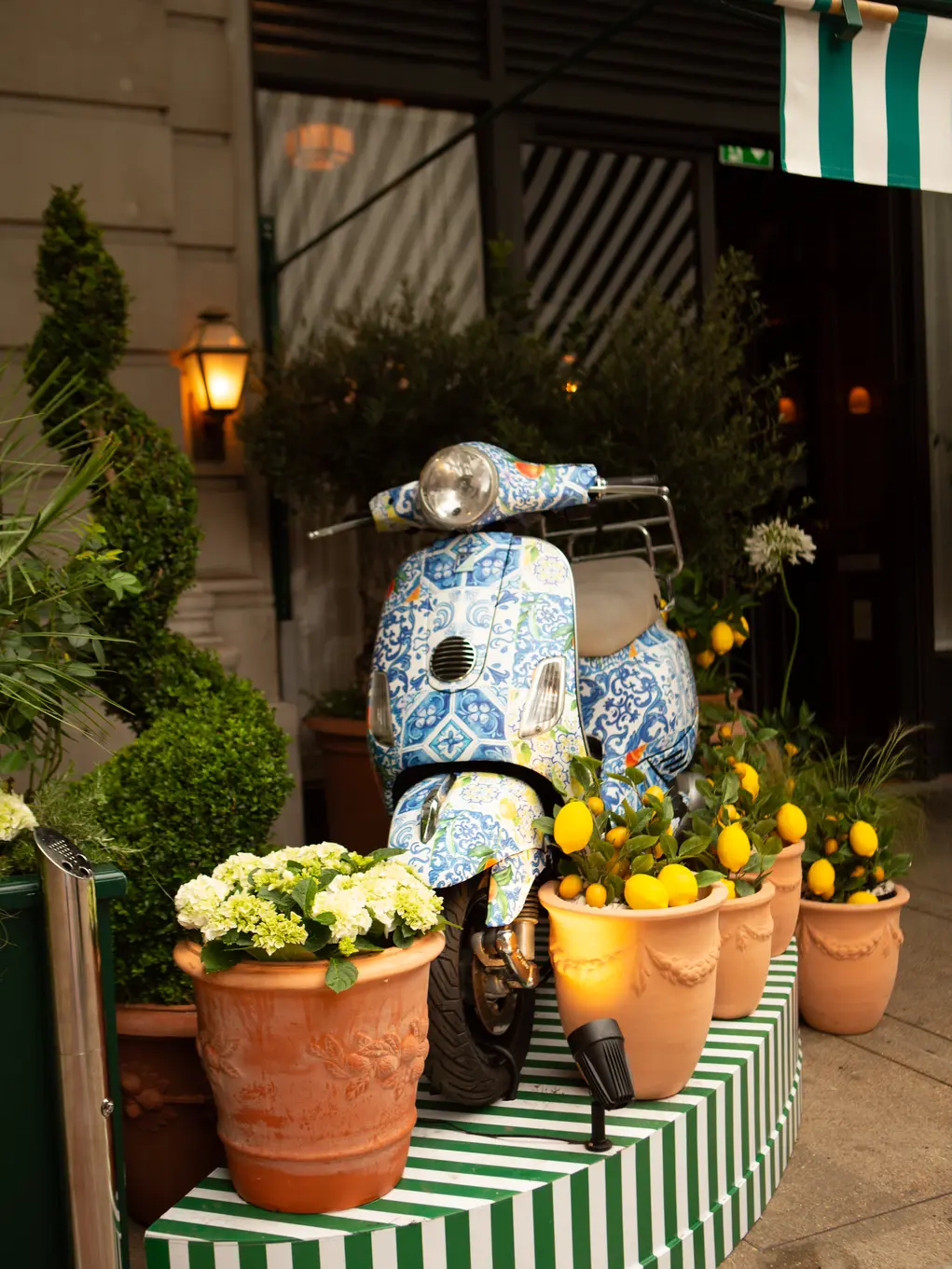 A Vespa decorated with a floral design and plant pots