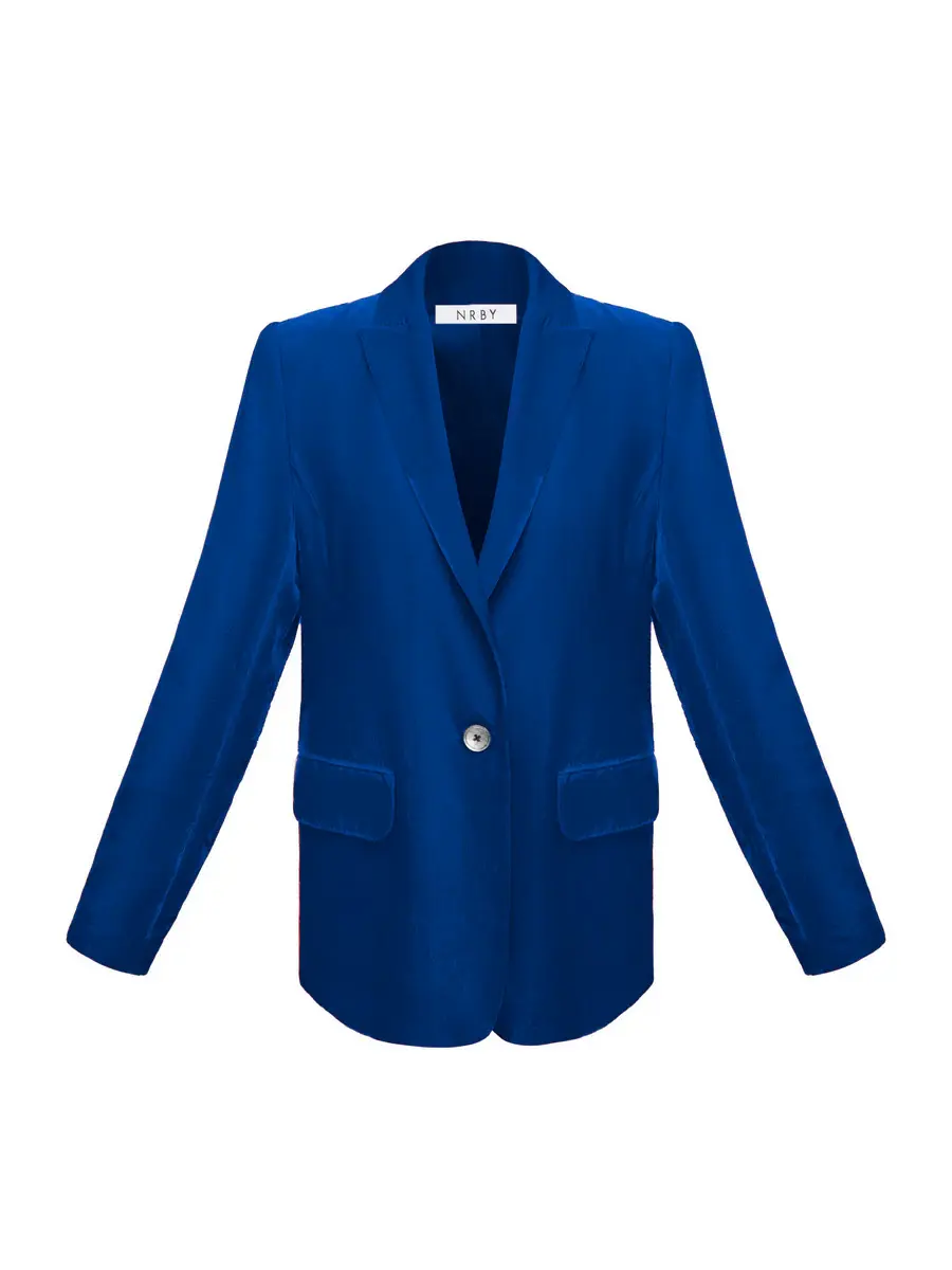 Blue velvet blazer