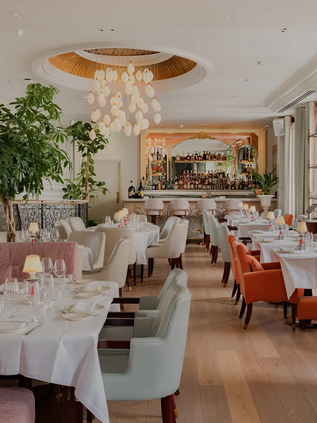 The interior of Amelie restaurant