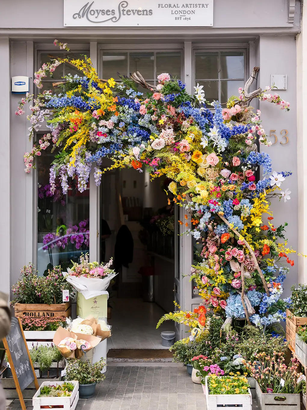 Moyses Stevens with its Belgravia in Bloom floral display