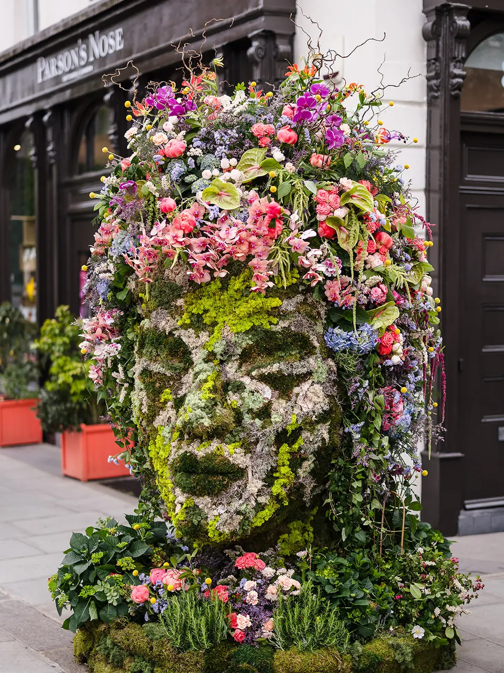 Mother Nature by Neill Strain