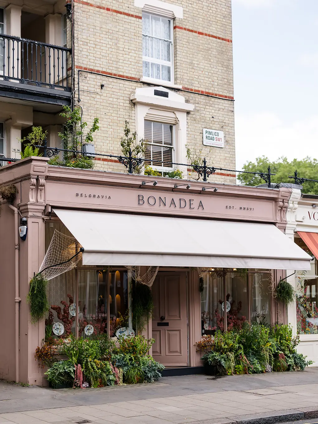 Bonadea