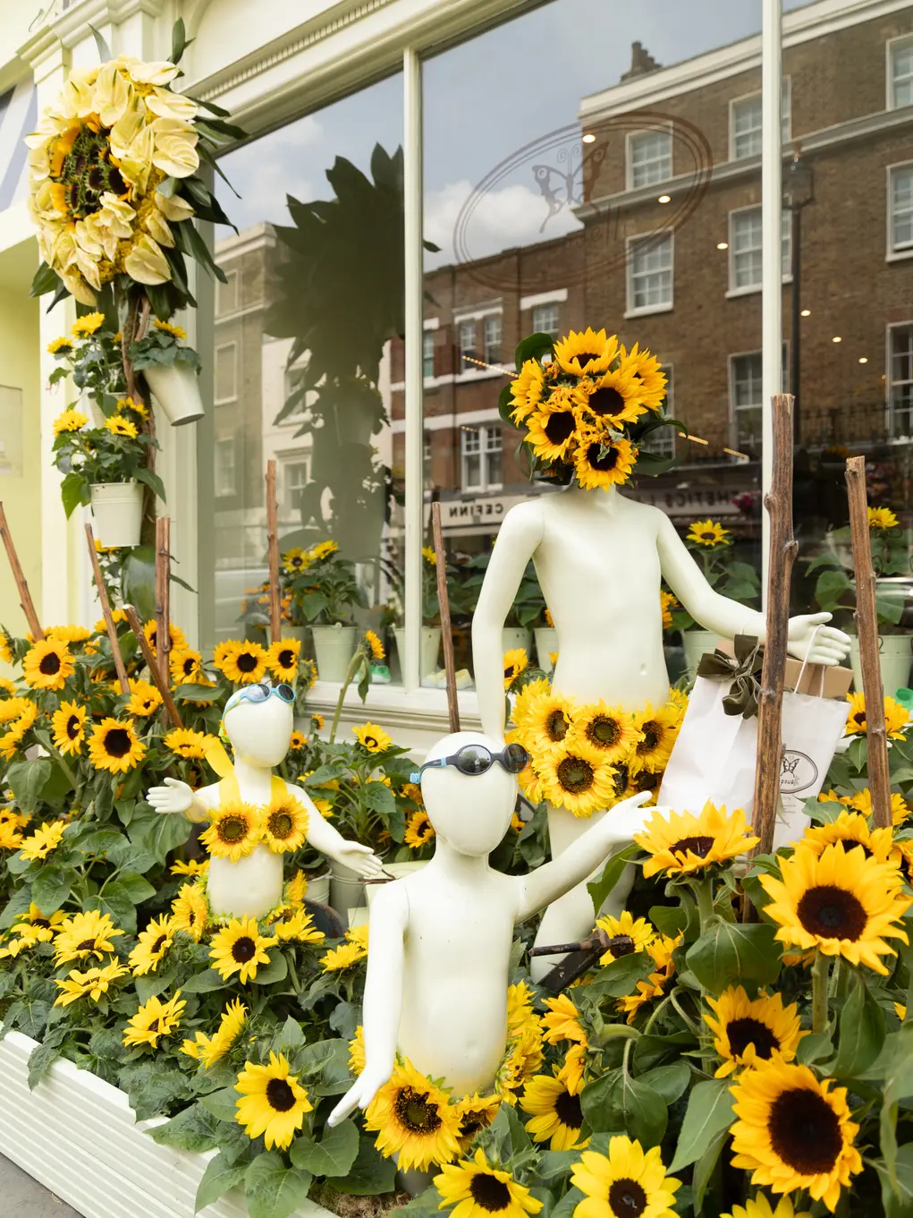 Sunflower display for Belgravia in Bloom