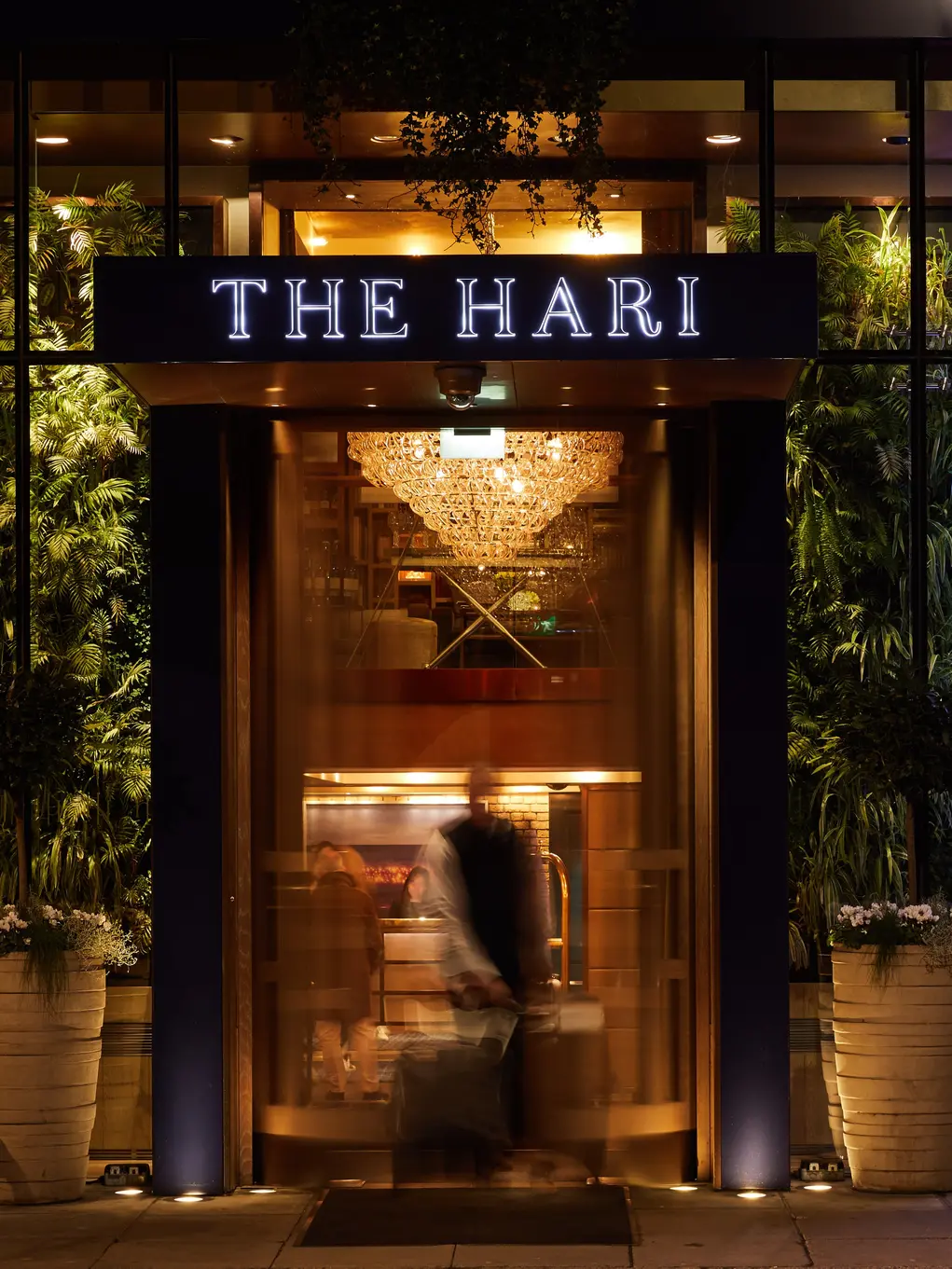 The Hari