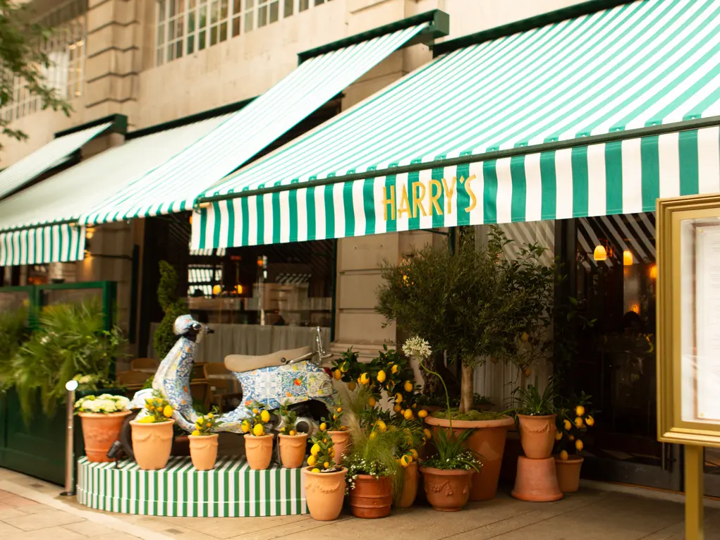 The exterior of Harry's Bar with a green and white striped awning, plant pots and a Vespa